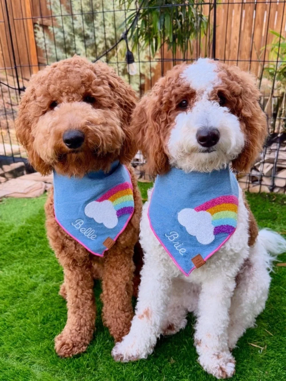 The Foggy Dog Rainbow Applique Dog Bandana